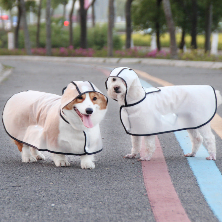 TPU Dog Raincoat for Small Breeds - In Stock