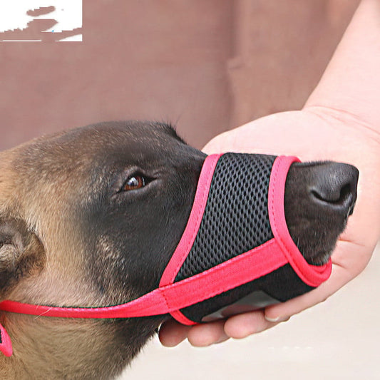 Mouth Cover for Large Labrador Dog to Prevent Eating
