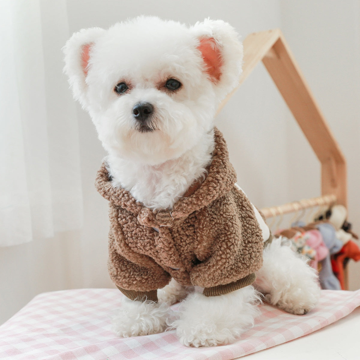 Korean Style Coffee Sweater for Small Dogs and Cats