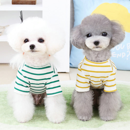 Pomeranian Teddy Bear T-Shirt for Small Dogs