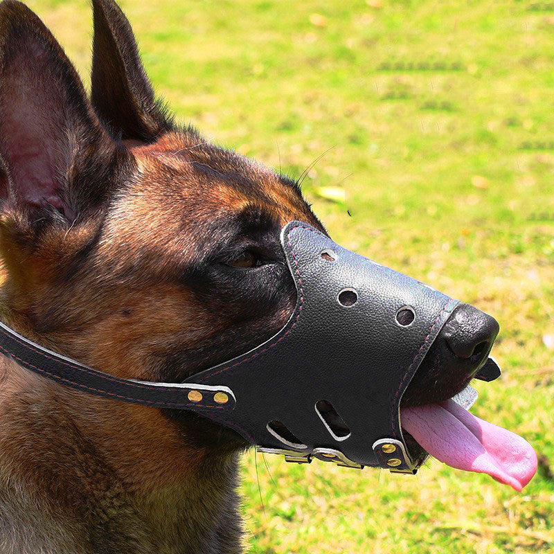 Anti-Bark and Anti-Eating Mask for Medium to Large Dogs