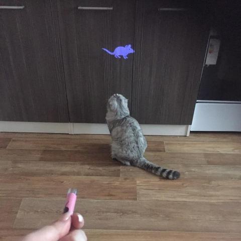 Cat Toy Projector Flashlight with Mouse Projection
