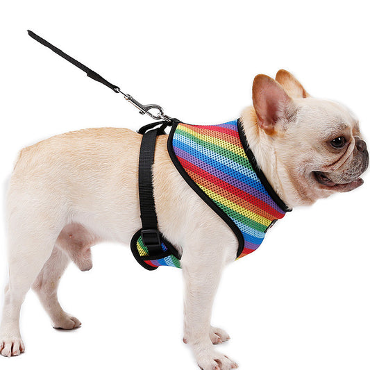 Rainbow Chest Strap