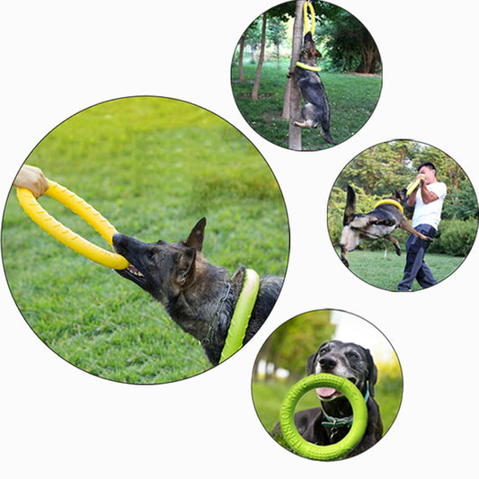 Interactive Floating Dog Toy - Training Ring Puller