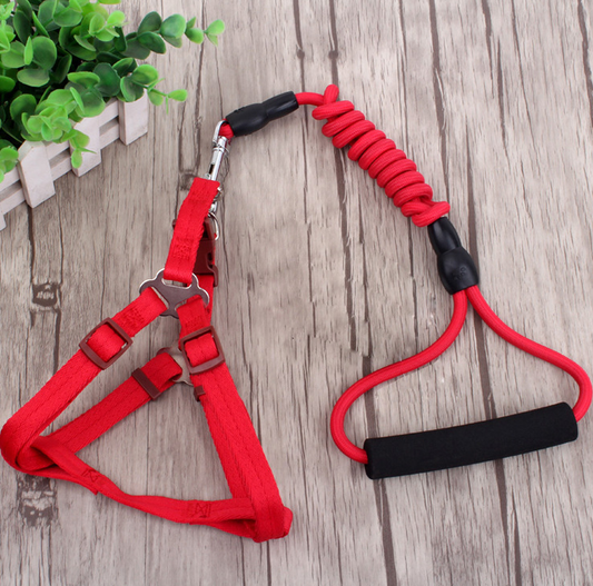 Pet Leash Set for Small Dogs and Cats with Collar