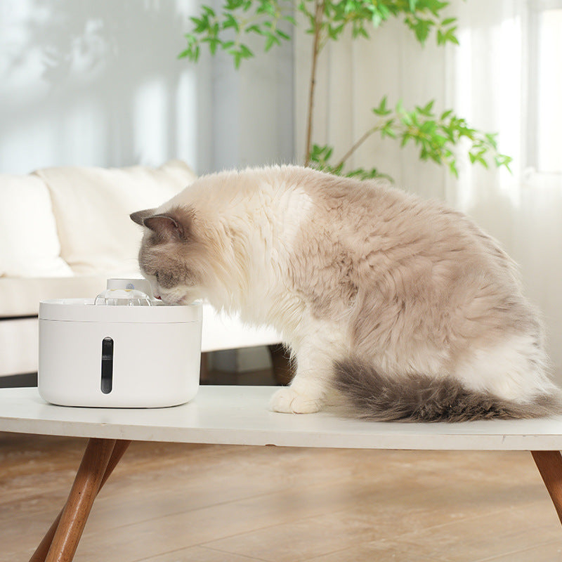 Smart Pet Wireless Water Dispenser with Stainless Steel Bowl
